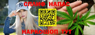 apvp Пугачёв