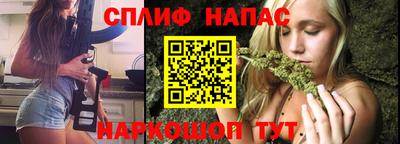 apvp Пугачёв