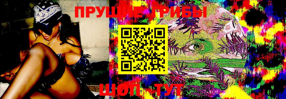 Галлюциногенные грибы прущие грибы Рузаевка