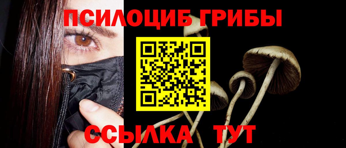 Галлюциногенные грибы мицелий  Вход с VPN  Рузаевка  Галлюциногенные грибы Cubensis 